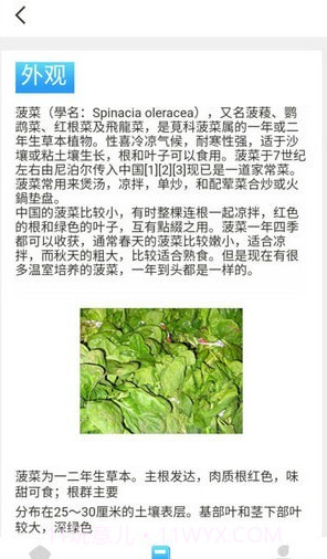 口袋菜农截图2 口袋菜农截图2