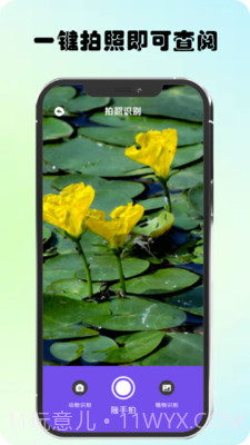 万物识图高手截图4