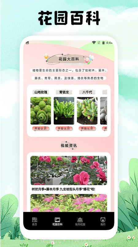 万物识图截图4 万物识图截图4