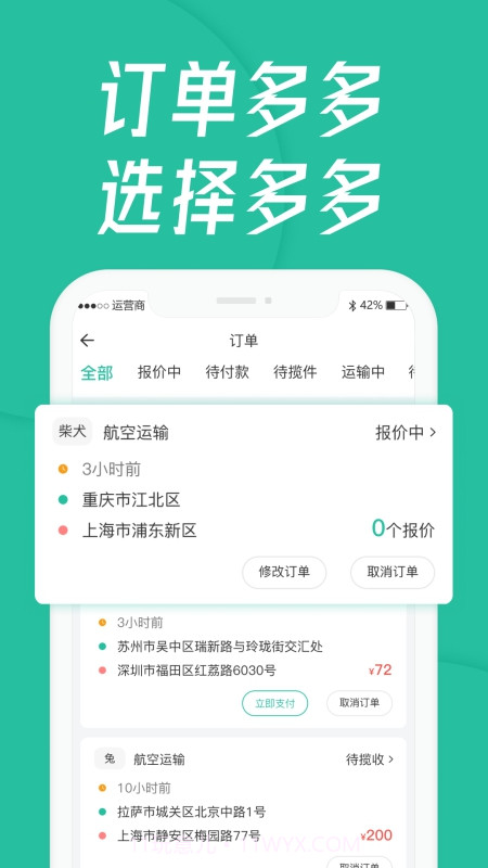 宠贝贝宠物托运平台截图2
