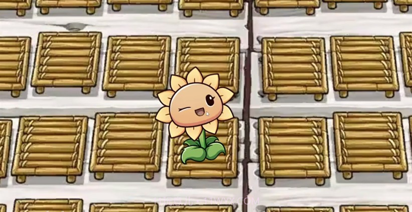 一株向日葵截图3 一株向日葵截图3