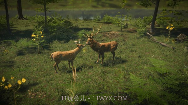 自然本能截图3 自然本能截图3