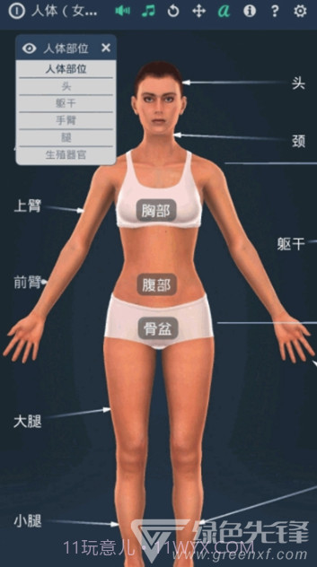 人体系统女性3D软件(专业3D人体结构)V1.1 安卓最新版截图3 人体系统女性3D软件(专业3D人体结构)V1.1 安卓最新版截图3