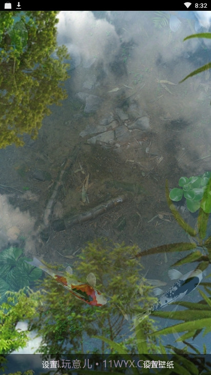 锦鲤鱼池3D动态壁纸截图3 锦鲤鱼池3D动态壁纸截图3