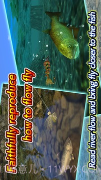 Fly Fishing 3D II截图4 Fly Fishing 3D II截图4