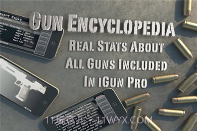 爱枪支 修改版截图2