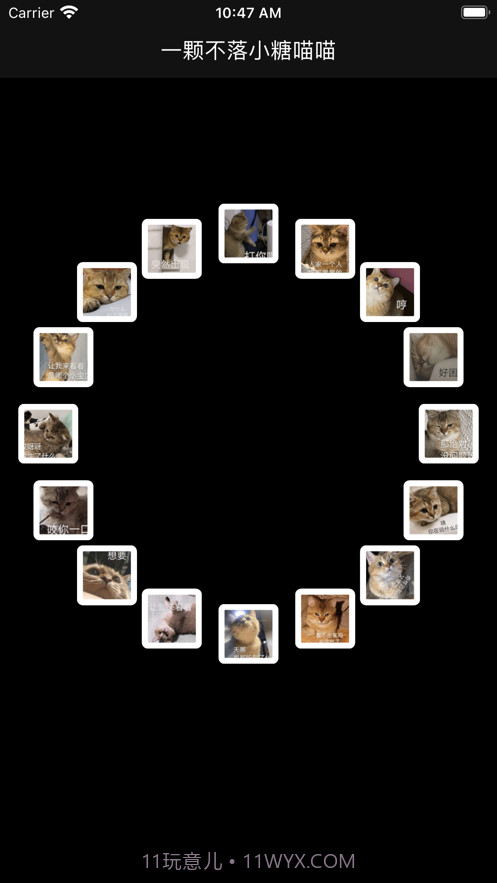 一颗不落小糖喵喵截图2