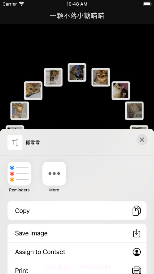 一颗不落小糖喵喵截图3