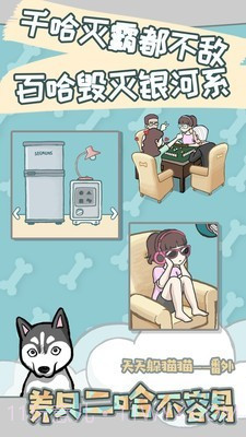 养只二哈不容易截图2 养只二哈不容易截图2