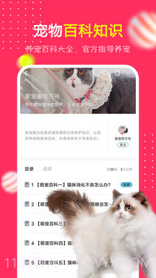 爱宠圈截图1 爱宠圈截图1