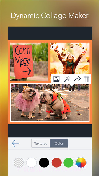 BeFunky照片编辑器截图1 BeFunky照片编辑器截图1