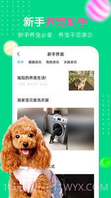 爱宠圈截图3 爱宠圈截图3