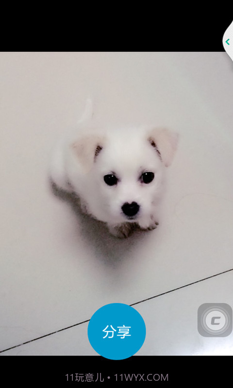 照片快享截图2 照片快享截图2