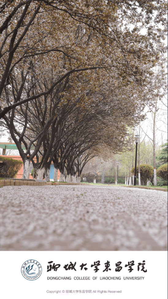 聊城大学东昌学院截图4