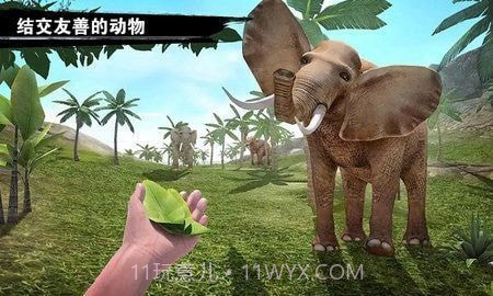 求生岛之旅截图3