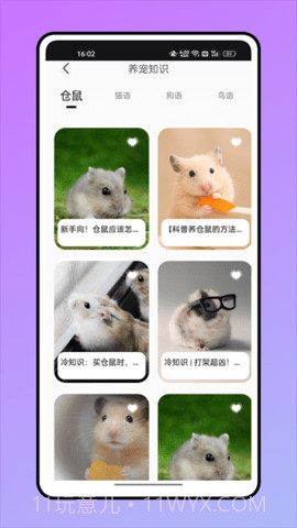 鼠语音翻译器截图1