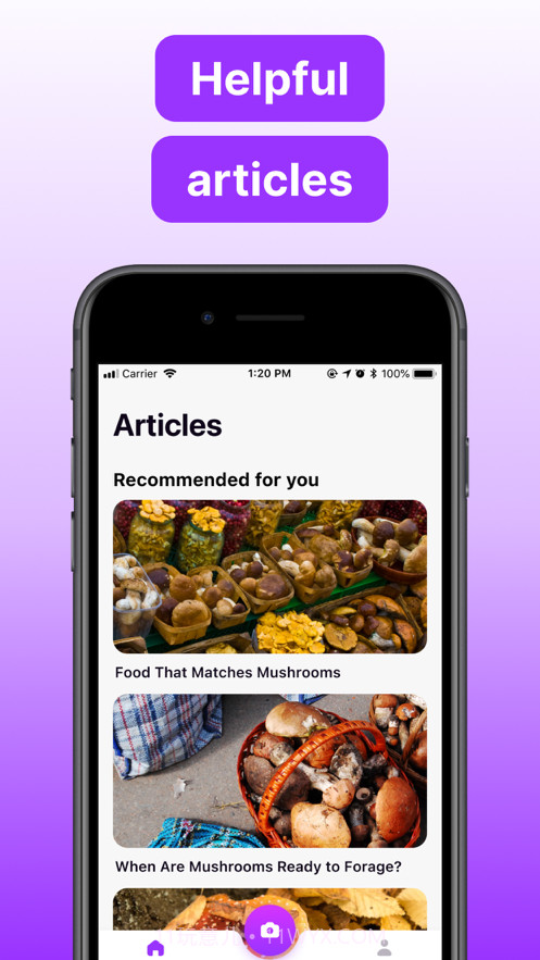 蘑菇标识符截图3