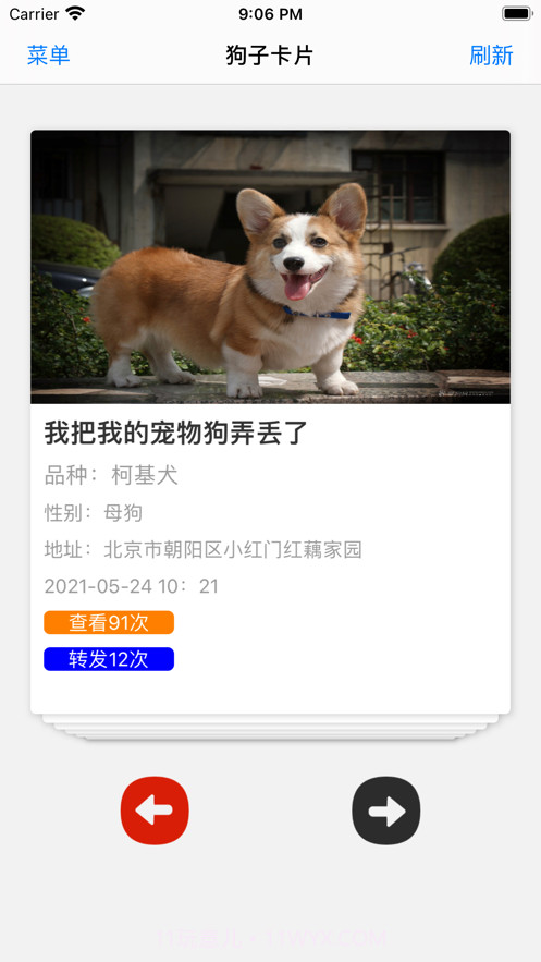 寻找丢失的狗子截图1