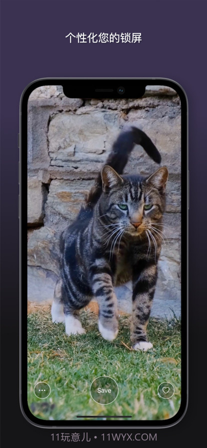 猫动态壁纸截图4 猫动态壁纸截图4