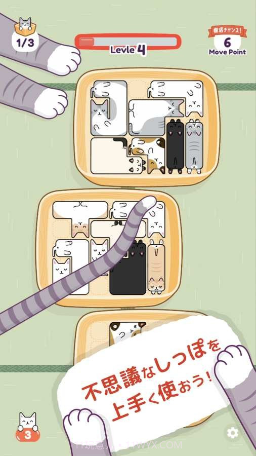 猫猫盒截图4 猫猫盒截图4