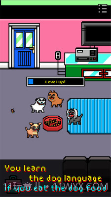 我变成一只狗截图2 我变成一只狗截图2