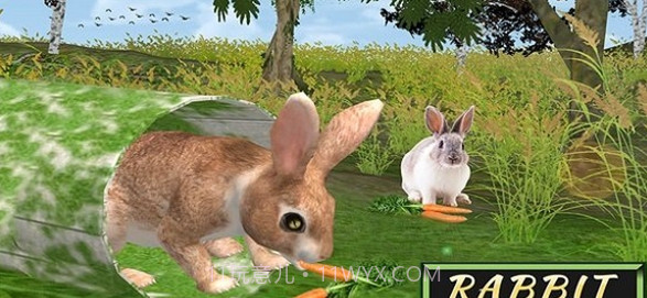 兔子模拟器截图3 兔子模拟器截图3