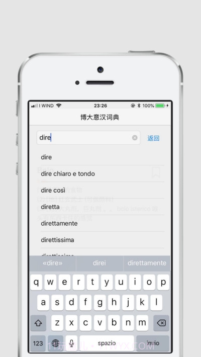 博大意汉词典截图2