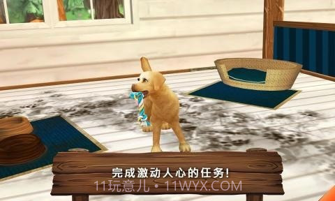 动物旅馆正版截图5