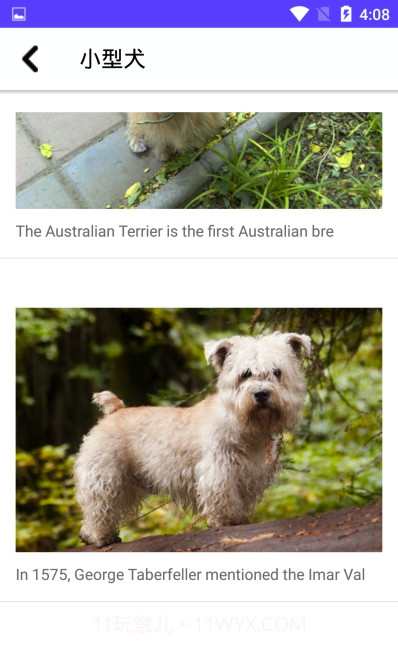 狗狗图鉴(专业动物科普图鉴)安卓正式版截图3 狗狗图鉴(专业动物科普图鉴)安卓正式版截图3