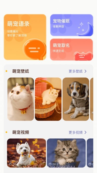 萌宠日常翻译器截图4