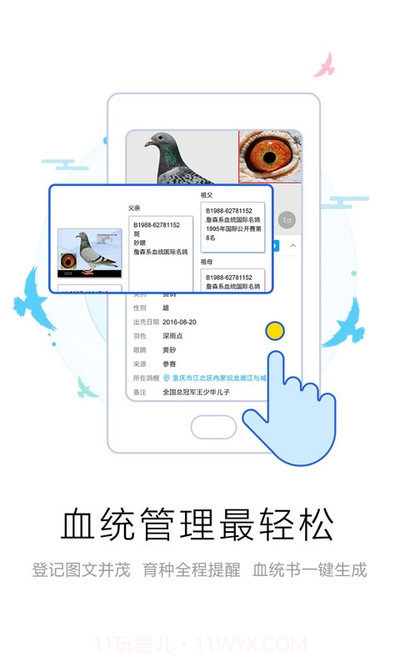 爱鸽者截图3 爱鸽者截图3
