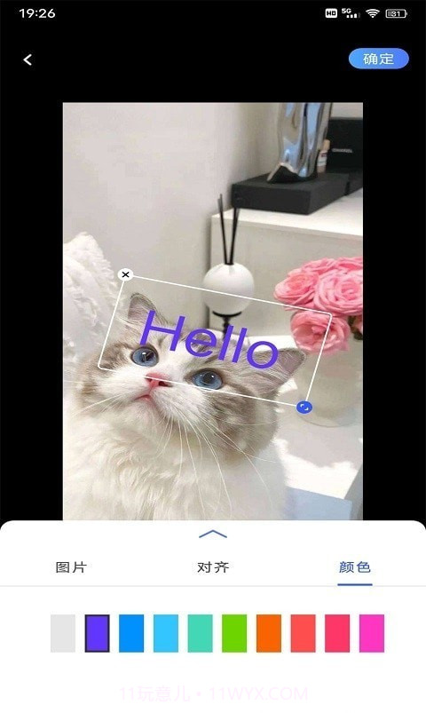 小猪翻译器截图2
