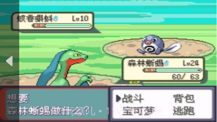 口袋妖怪 暗古神坛6.0 Another Result（悟饭）截图3