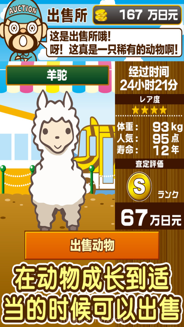 动物园饲养截图3 动物园饲养截图3