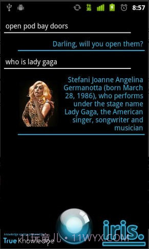 Iris虚拟助手截图1