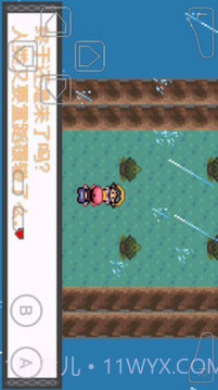 口袋妖怪暗兽神截图1