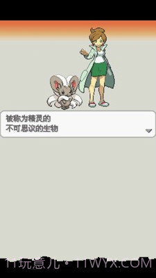 口袋妖怪：白2 649版截图2