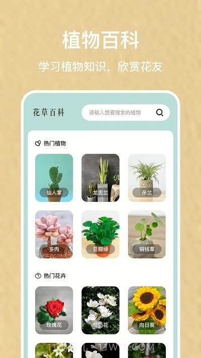 识别花大师截图4