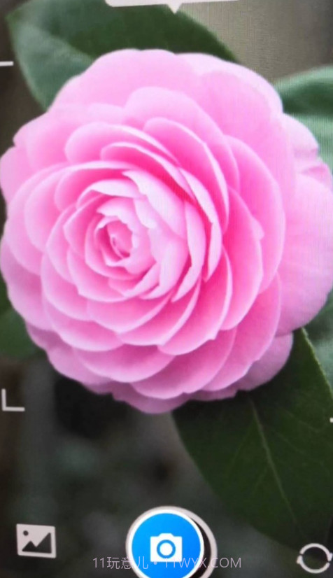 智能花卉识别截图3 智能花卉识别截图3