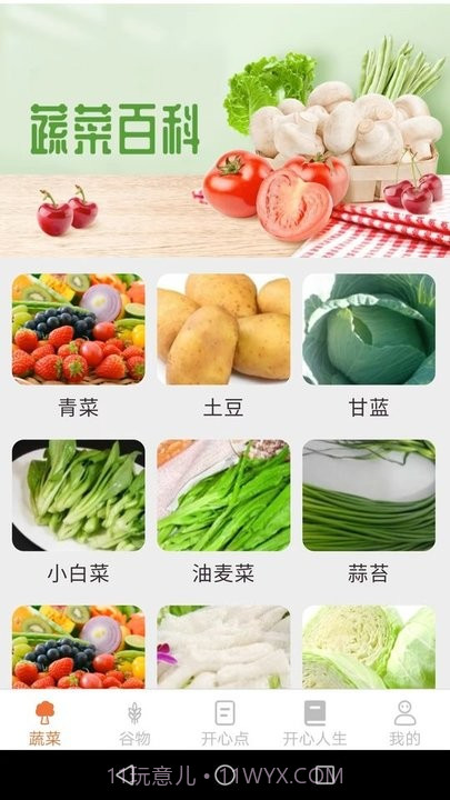 绿色菜园子截图4