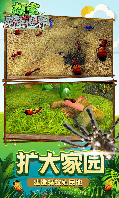 探索昆虫世界截图2 探索昆虫世界截图2