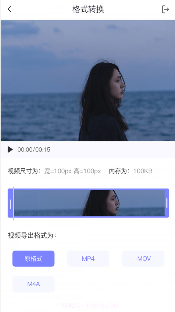 视频转格式大师截图2