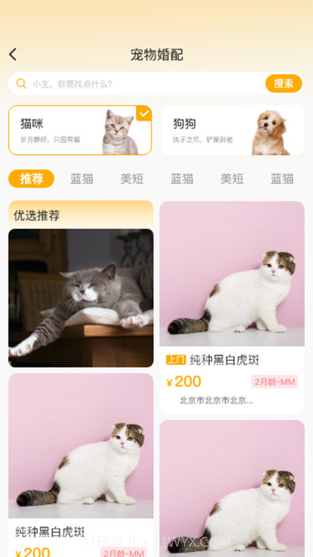 喵鑫球宠物截图1