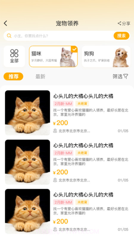 喵鑫球宠物截图2