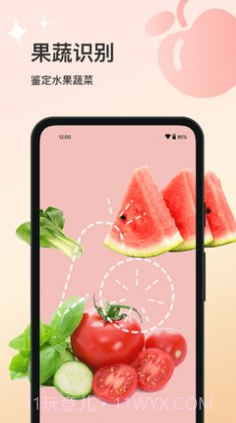 花卉识别大全截图1 花卉识别大全截图1