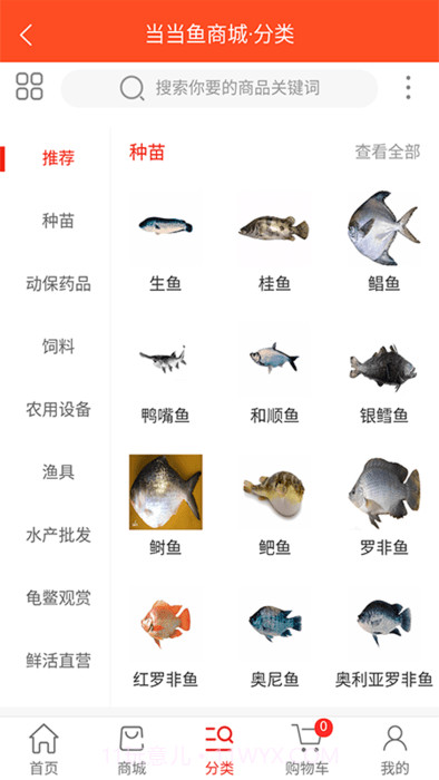 当当鱼截图2 当当鱼截图2