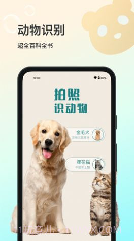 花卉识别大全截图2 花卉识别大全截图2