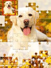 智能拼图游戏1000截图3