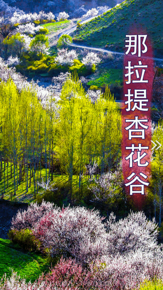 新源好地方截图2