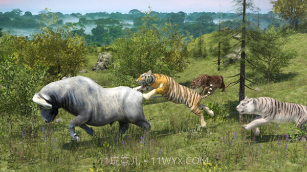 野生老虎模拟器截图2